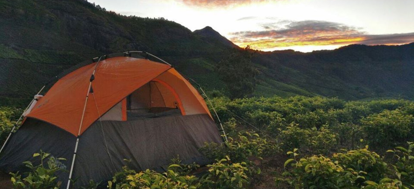 Trek & Camp @ Ellappatti Munnar - A walk in the clouds